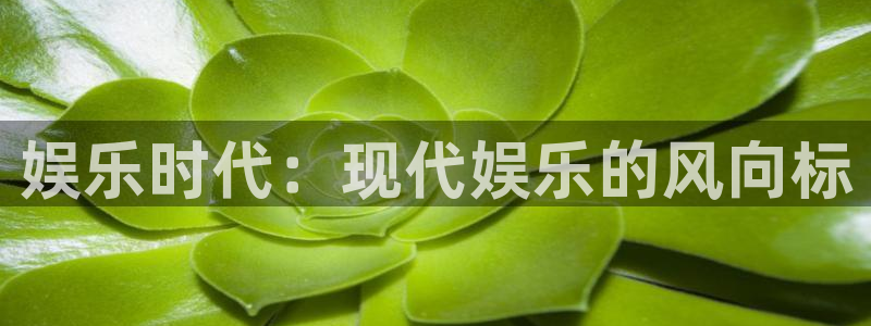 尊龙凯时app官方下载