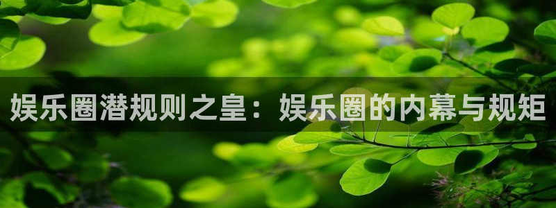 尊龙凯时下载
