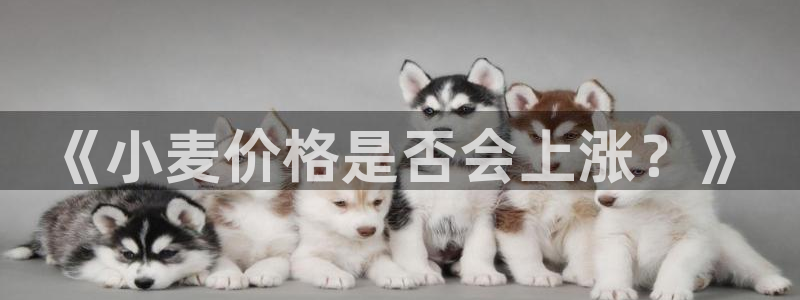 ag尊龙凯时官网