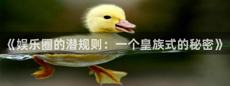 尊龙凯时人生就是博中国地区