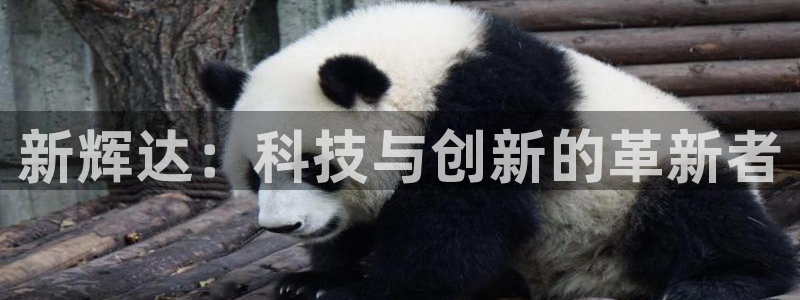 z6com·尊龙(中国)时凯集团网址