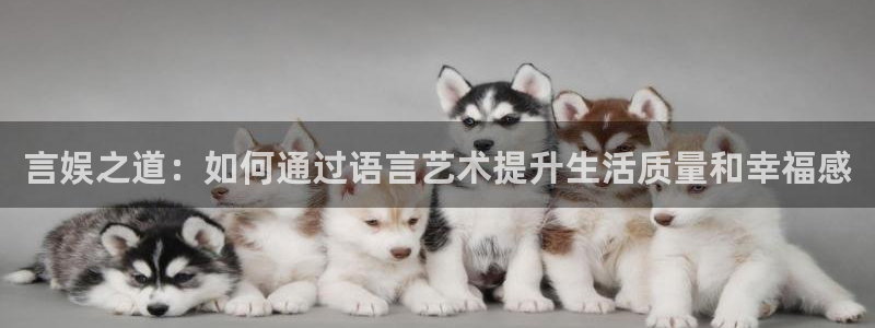 尊龙官网