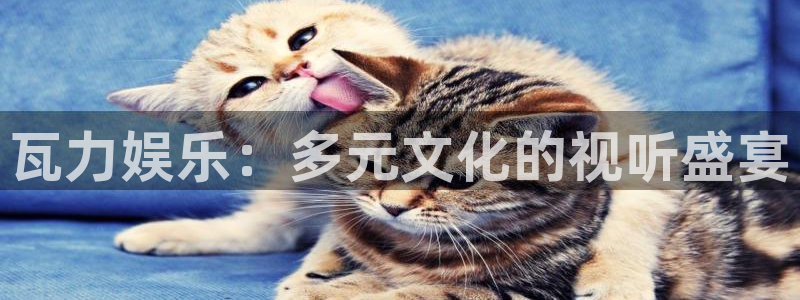 尊龙凯时官网下载