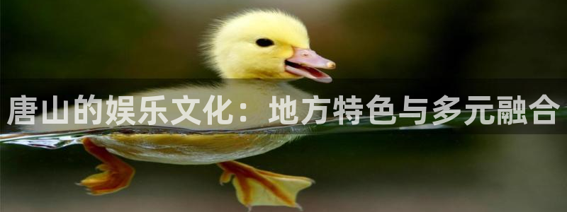 尊龙凯时
