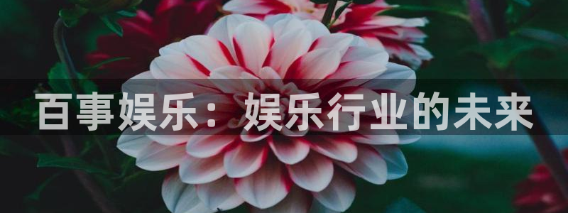 尊龙凯时官网入口