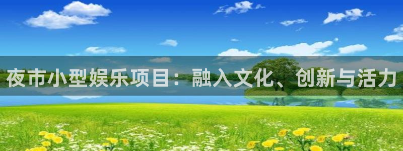 尊龙凯时是正规平台吗：夜市小型娱乐项目：融入文化、创新与活力