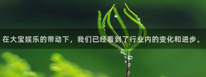 凯时尊龙网站：在大宝娱乐的带动下，我们已经看到了行业内的变化和进步。