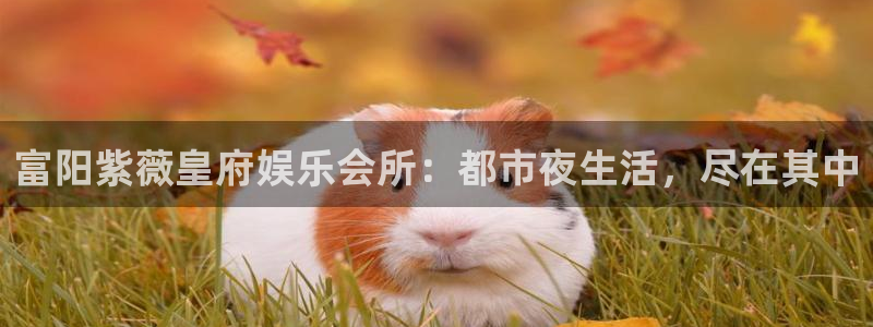 尊龙凯时一人生就是博：富阳紫薇皇府娱乐会所：都市夜生活，尽在其中