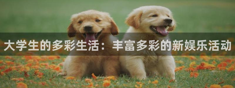 尊龙app官方正版下载：大学生的多彩生活：丰富多彩的新娱乐活动