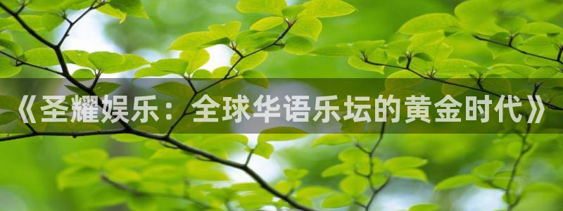 尊龙时凯链接：《圣耀娱乐：全球华语乐坛的黄金时代》