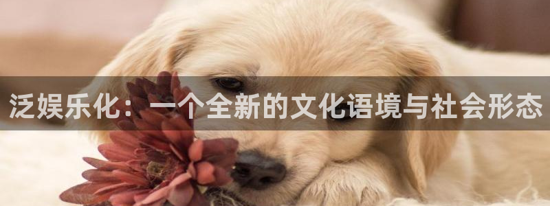 尊龙凯时人生就是博中国官网：泛娱乐化：一个全新的文化语境与社会形态