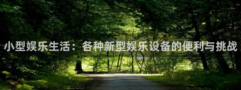 尊龙凯时人生就是搏平台：小型娱乐生活：各种新型娱乐设备的便利与挑战
