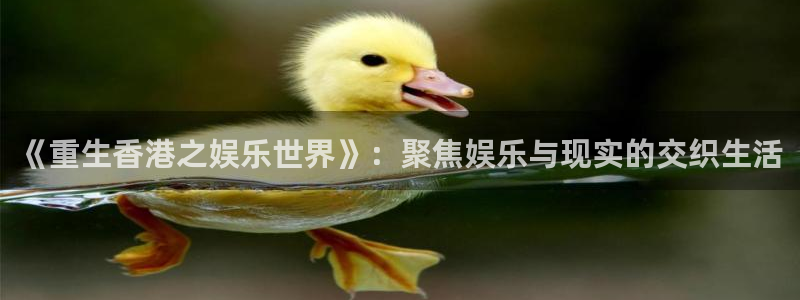尊龙时凯登录：《重生香港之娱乐世界》：聚焦娱乐与现实的交织生活